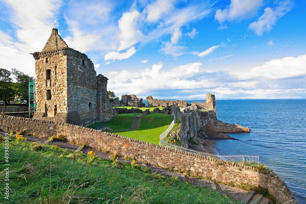 Farm Shops & Local Produce